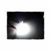 VOLVO C30 S40 S60 S80 V70 XC60 XC70 XC 90 LAMPKI LED TABLICY REJESTRACYJNEJ EP49