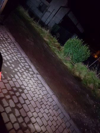 ŻARÓWKI LED W16W EINPARTS COFANIA WSTECZNE 30SMD CANBUS ULTRA MOCNE