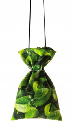 ZAPACH SAMOCHODOWY READYSTEADY FRESH BAGS GREEN TEA