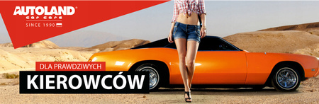 AUTOLAND - Pasta do chromu i aluminium 150ml SOLID